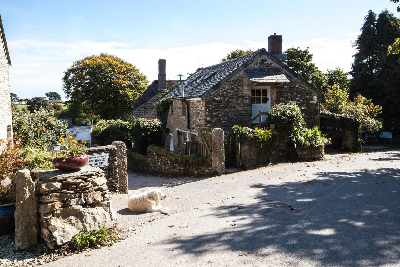 Bed and Breakfast Trenderway Farm Looe Zewnętrze zdjęcie