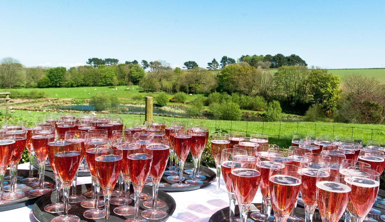 Bed and Breakfast Trenderway Farm Looe Zewnętrze zdjęcie