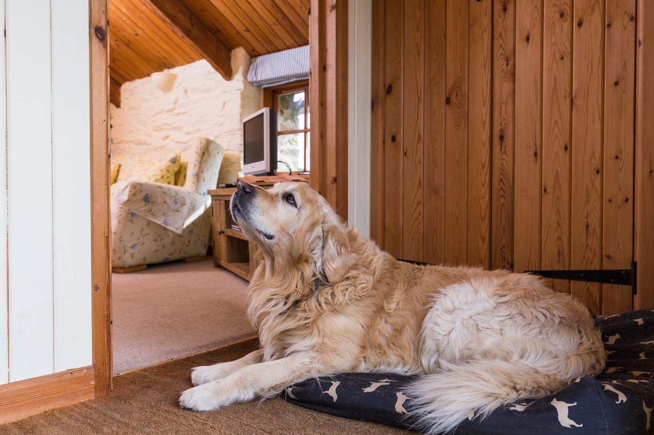 Bed and Breakfast Trenderway Farm Looe Zewnętrze zdjęcie