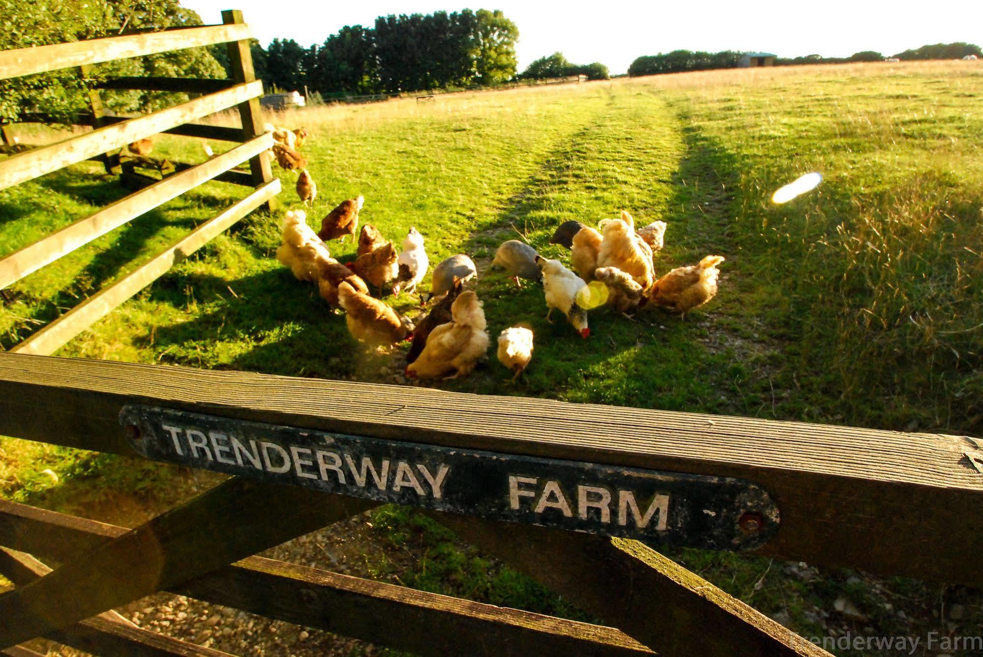 Bed and Breakfast Trenderway Farm Looe Zewnętrze zdjęcie