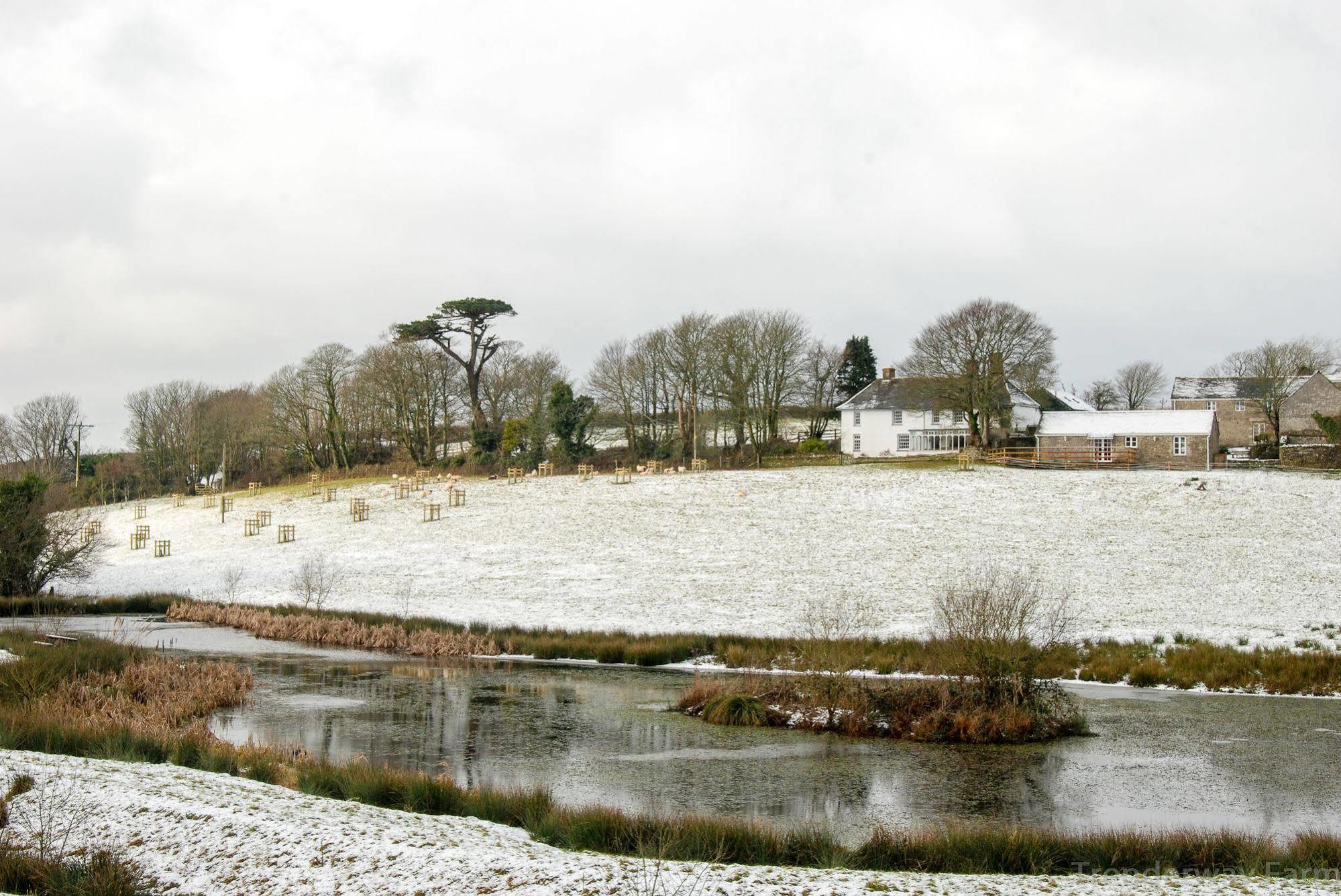 Bed and Breakfast Trenderway Farm Looe Zewnętrze zdjęcie